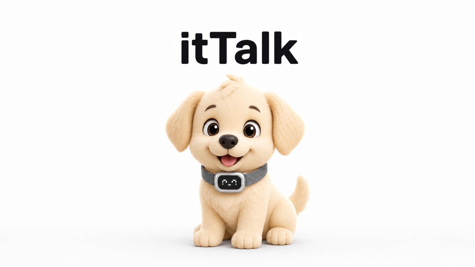 ItTalk — 佩戴智能项圈的小狗 / a puppy wearing the ItTalk smart collar
